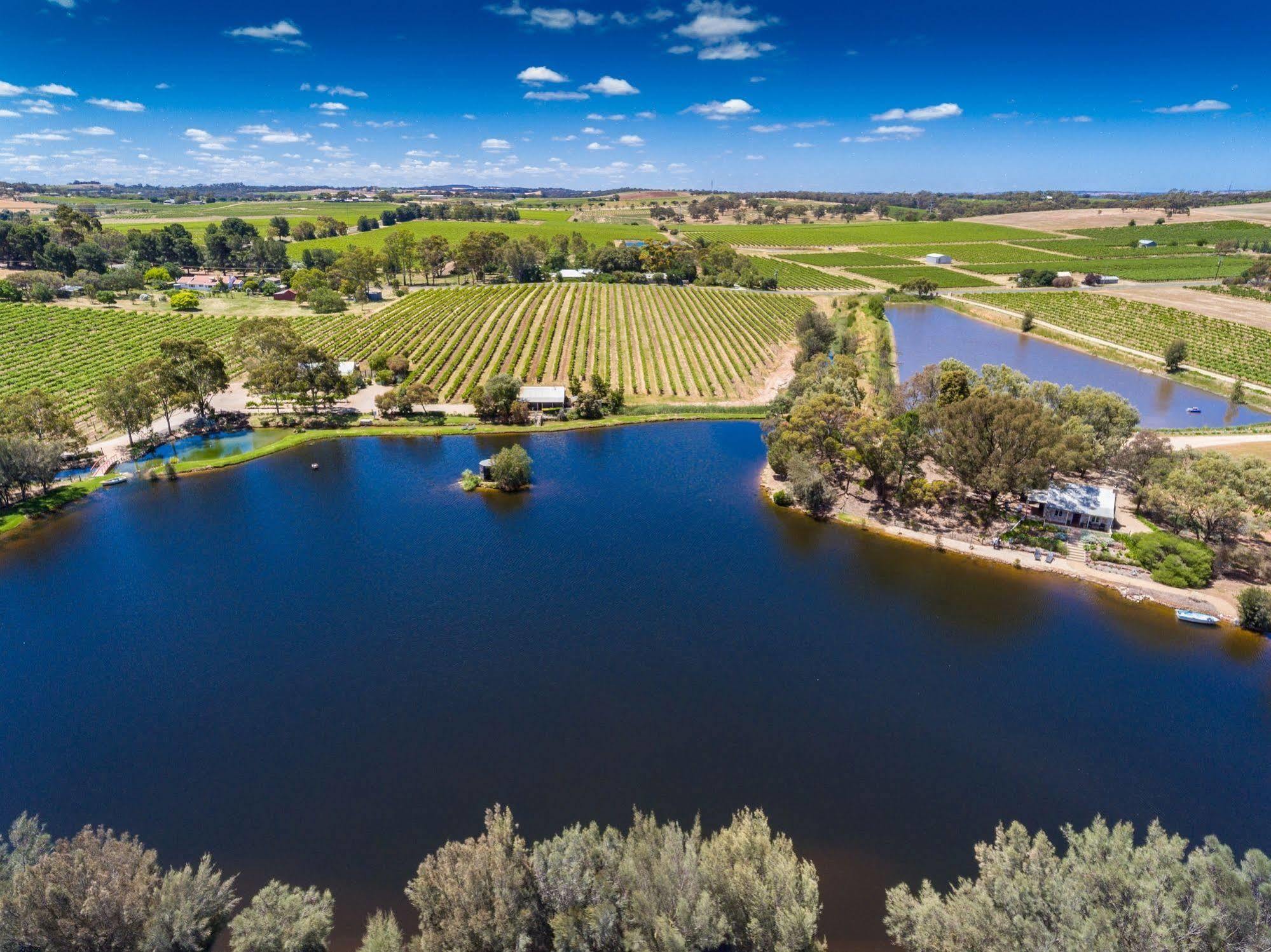 Stonewell Cottages And Vineyards Tanunda Exterior foto