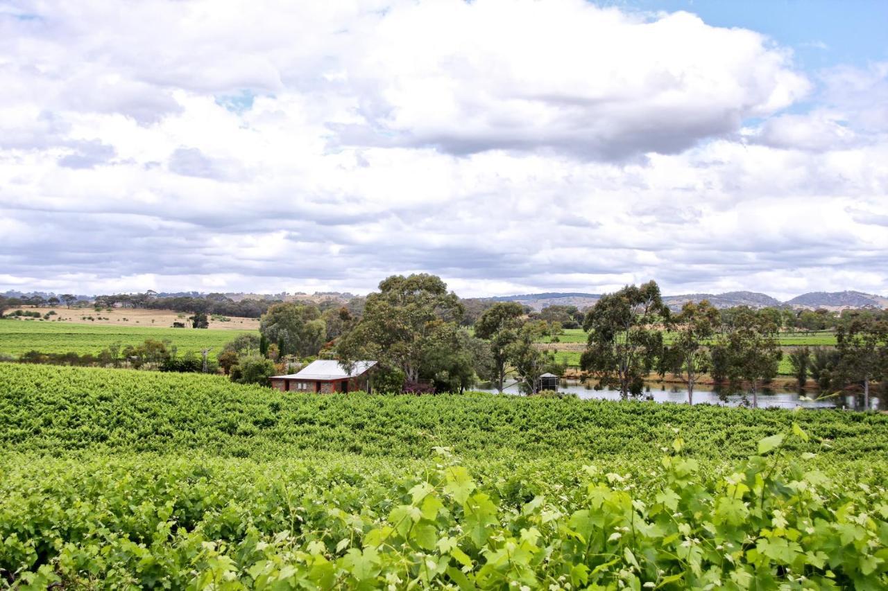 Stonewell Cottages And Vineyards Tanunda Exterior foto